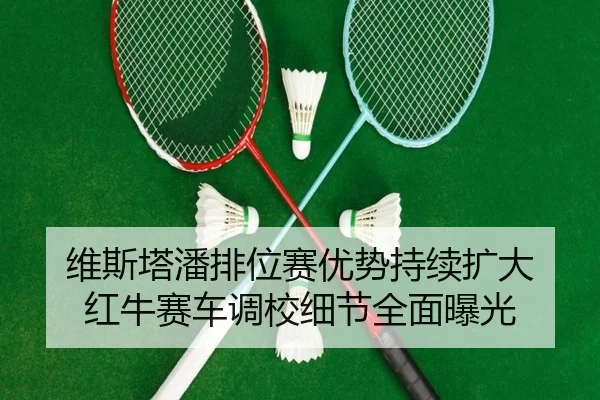 维斯塔潘排位赛优势持续扩大 红牛赛车调校细节全面曝光
